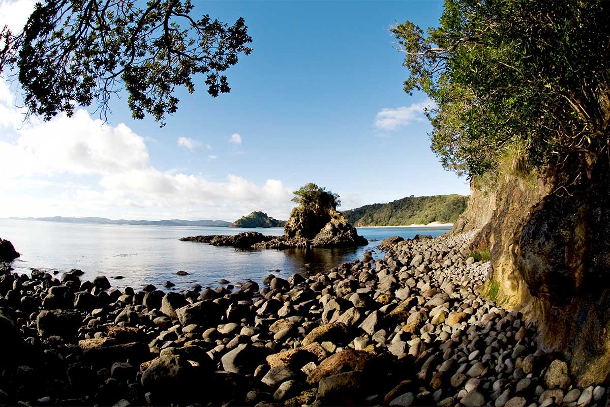 Walking trek to New Chums Beach