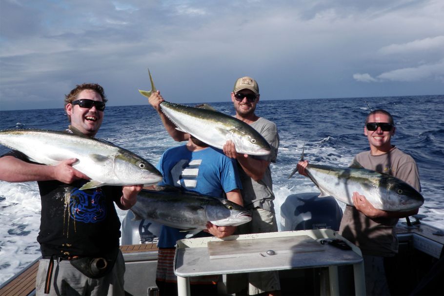 Anglers holding up a catch of kingfish, fishing close to Whitianga